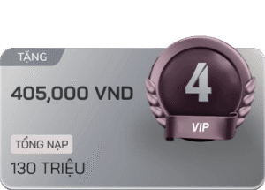 vip 4